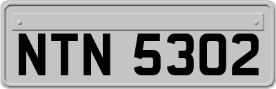 NTN5302