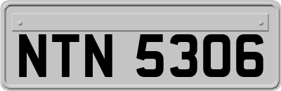 NTN5306