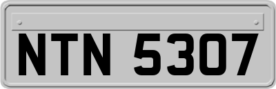 NTN5307