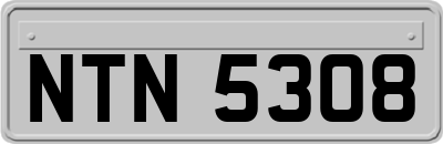 NTN5308