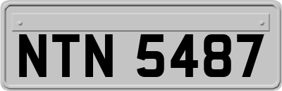 NTN5487