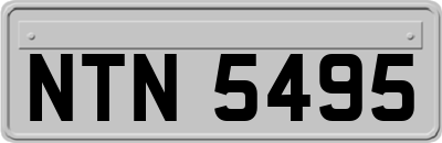 NTN5495