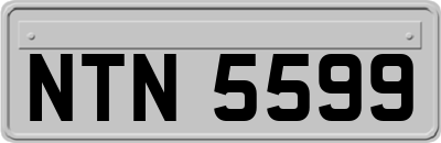 NTN5599