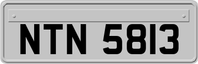 NTN5813