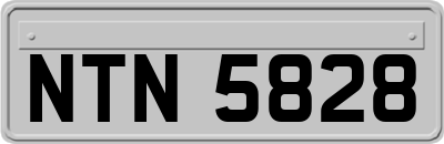 NTN5828