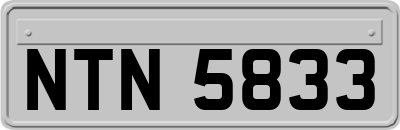 NTN5833