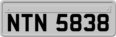 NTN5838