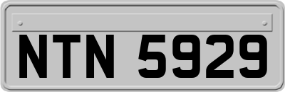 NTN5929