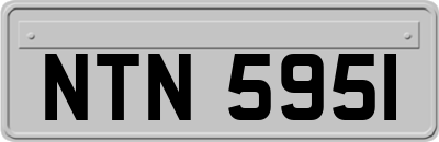 NTN5951