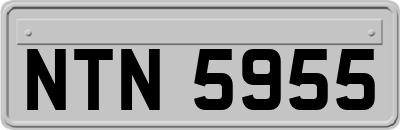 NTN5955