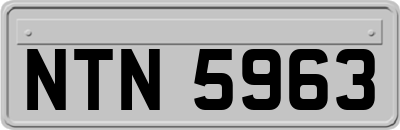 NTN5963