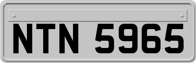NTN5965