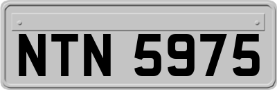 NTN5975