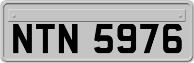 NTN5976