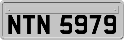 NTN5979