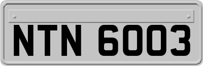NTN6003
