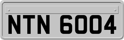 NTN6004