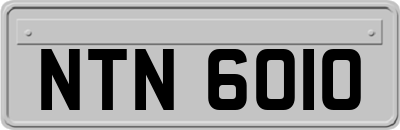NTN6010