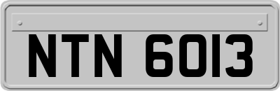 NTN6013