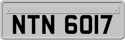 NTN6017