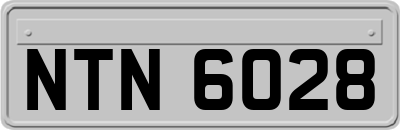 NTN6028