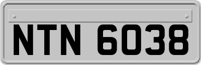 NTN6038
