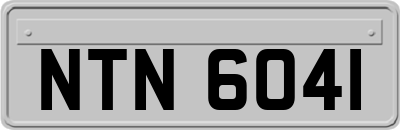 NTN6041