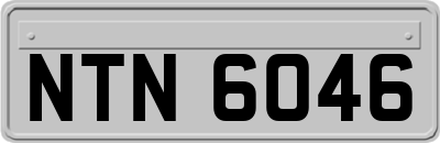 NTN6046