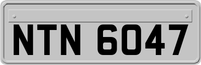 NTN6047