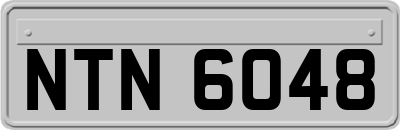 NTN6048