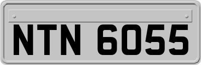 NTN6055