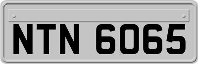 NTN6065
