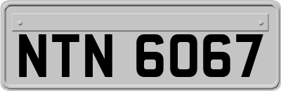 NTN6067