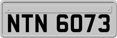 NTN6073