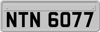 NTN6077