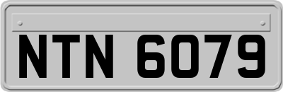 NTN6079