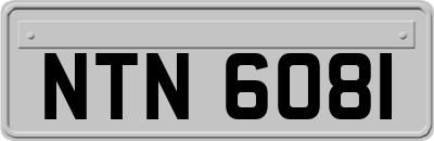 NTN6081