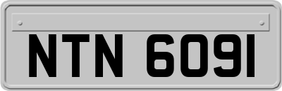 NTN6091