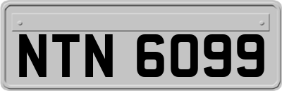 NTN6099