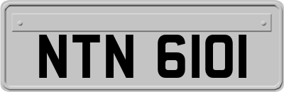 NTN6101