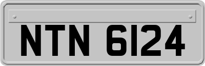 NTN6124