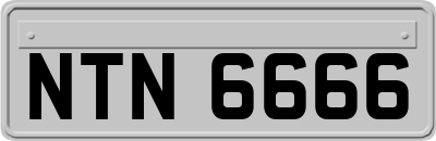NTN6666