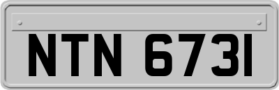 NTN6731