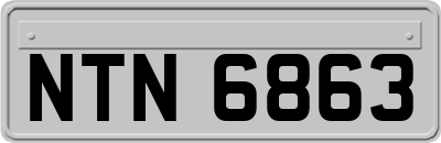 NTN6863