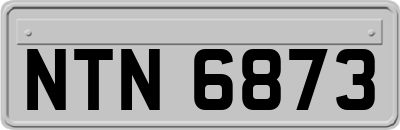 NTN6873