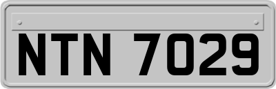 NTN7029