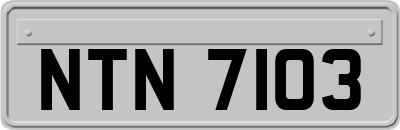 NTN7103