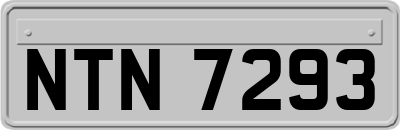 NTN7293