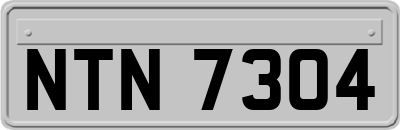 NTN7304