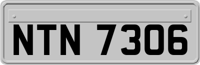 NTN7306